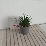 Apartment Anastasia &