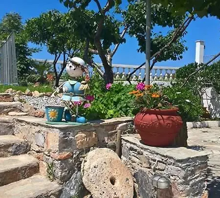 Anastasia & Apartment *