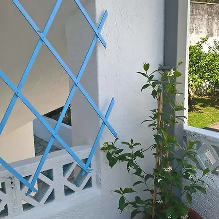 Lägenhet Anastasia & Panormos (Skopelos)