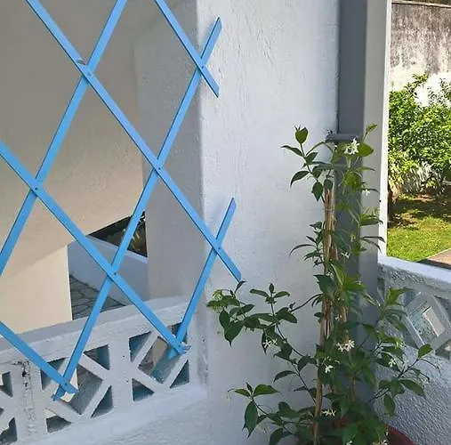 아파트 Anastasia & Panormos (Skopelos)